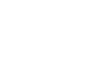 Light Logo